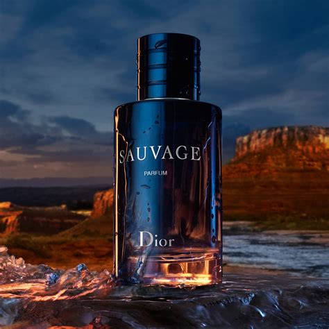 dior sauvage parfum winter or summer|Dior Sauvage rating.